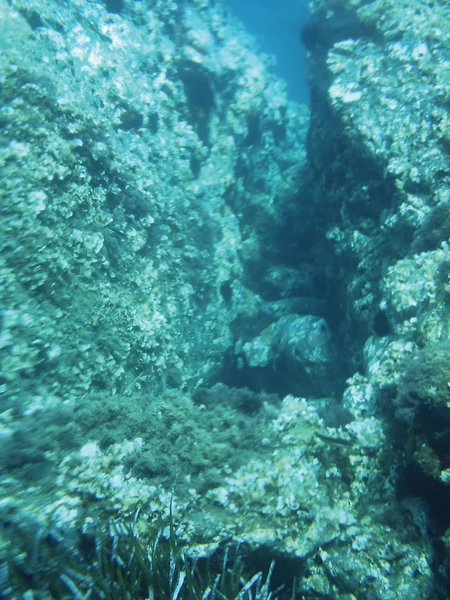 Scogliere Marine Unità Fondo Subacquee Isolate — Foto Stock