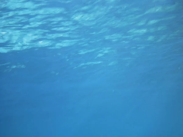 Zee Koraalriffen Onderwater Achtergrond Eenheid Isoleren — Stockfoto