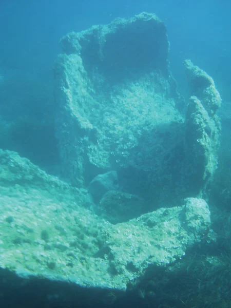 Sea Reefs Underwater Background Unit Isolate — Stock Photo, Image