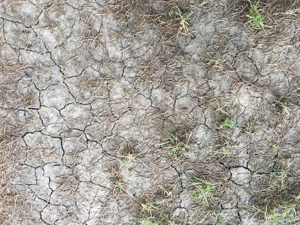 土地上背景ユニットを分離します — ストック写真