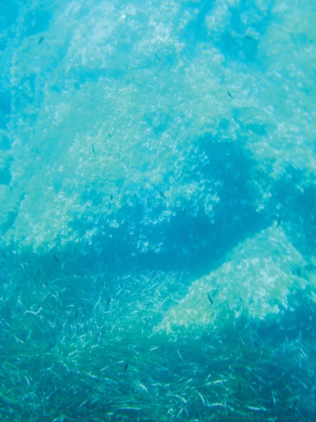 Sea Reefs Underwater Background Unit Isolate — Stock Photo, Image