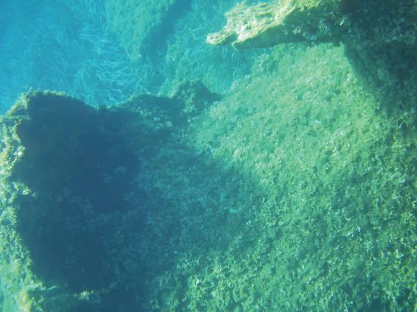 Scogliere Marine Unità Fondo Subacquee Isolate — Foto Stock