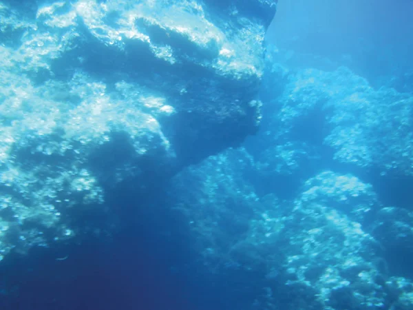 Sea Reefs Underwater Background Unit Isolate — Stock Photo, Image