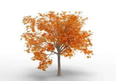 İç 3d ağaç beyaz bir arka plan üzerinde izole