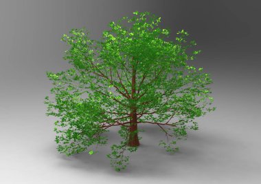  3d ağaç beyaz bir arka plan üzerinde izole