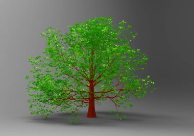  3d ağaç beyaz bir arka plan üzerinde izole