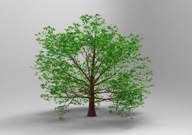  3d ağaç beyaz bir arka plan üzerinde izole