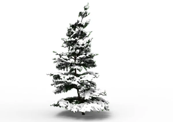 Drzewo Sosny Śniegu — Zdjęcie stockowe