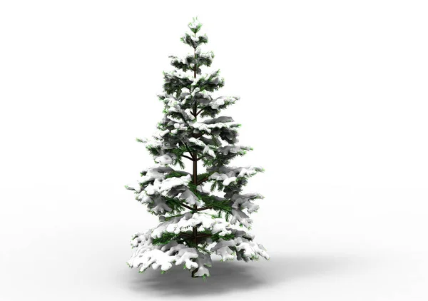 Pine Tree Snow — Stock Photo, Image