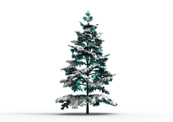 Drzewo Sosny Śniegu — Zdjęcie stockowe