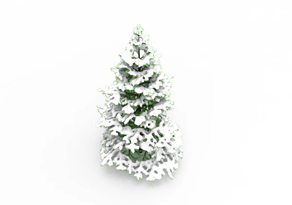 Pine Tree Snow — Stock Photo, Image