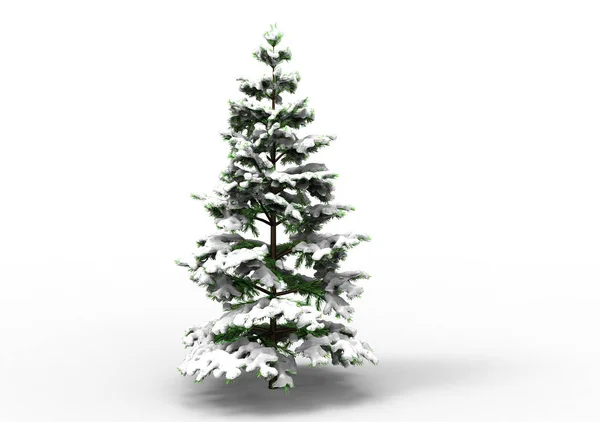Drzewo Sosny Śniegu Obraz Stockowy