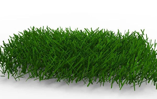 Zielona Trawa Izolowana Białym Tle — Zdjęcie stockowe
