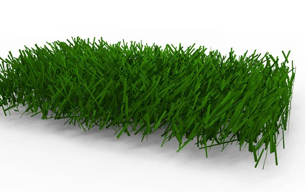 Green Grass Isolated White Background — Stock Photo, Image