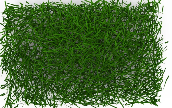 Groen Gras Geïsoleerd Witte Achtergrond — Stockfoto