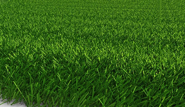 Green Grass Surface Background — Stock Photo, Image