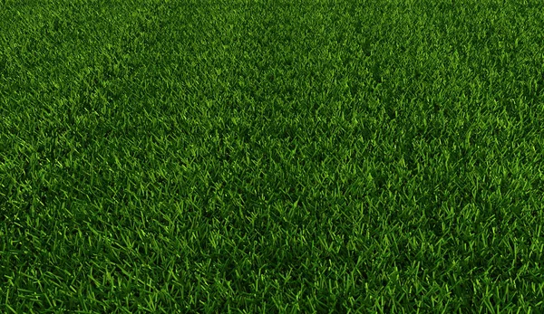Grüne Rasenfläche Als Hintergrund — Stockfoto