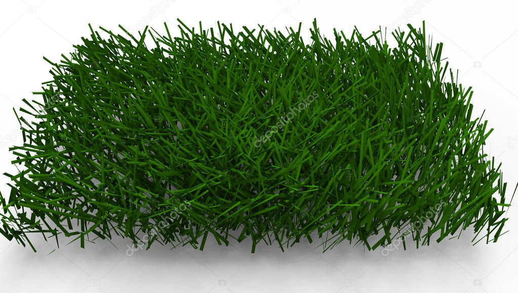 green grass isolated on white background 