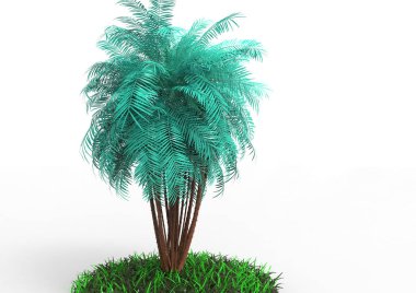 beyaz bir arka plan üzerinde 3D palmiye ağacı