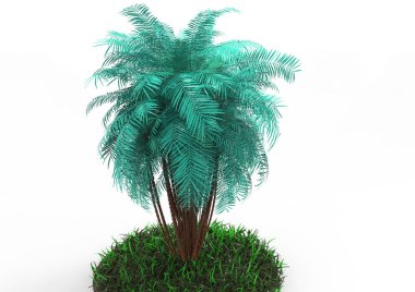 beyaz bir arka plan üzerinde 3D palmiye ağacı