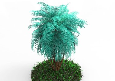 beyaz bir arka plan üzerinde 3D palmiye ağacı