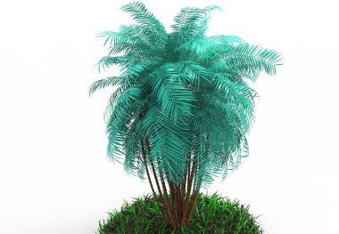 beyaz bir arka plan üzerinde 3D palmiye ağacı