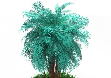 beyaz bir arka plan üzerinde 3D palmiye ağacı