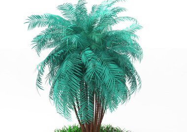 beyaz bir arka plan üzerinde 3D palmiye ağacı