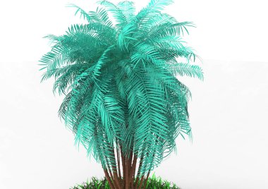 beyaz bir arka plan üzerinde 3D palmiye ağacı