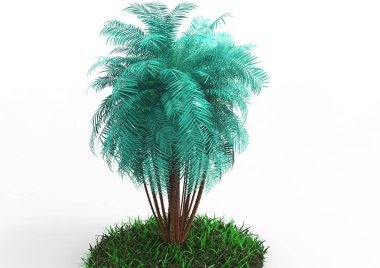 beyaz bir arka plan üzerinde 3D palmiye ağacı