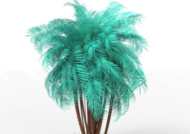 beyaz bir arka plan üzerinde 3D palmiye ağacı