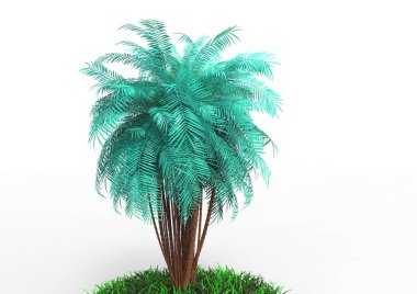 beyaz bir arka plan üzerinde 3D palmiye ağacı