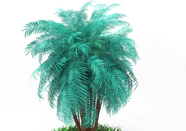 beyaz bir arka plan üzerinde 3D palmiye ağacı