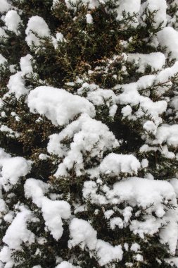 arka plan açık havada kar izole