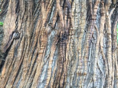 arka plan olarak Ahşap dokulu yüzeyi  