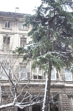 arka plan açık havada kar izole