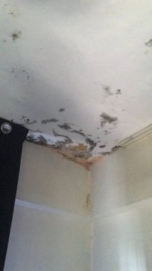 çürük tavan ayrı tut moduyla arka plan