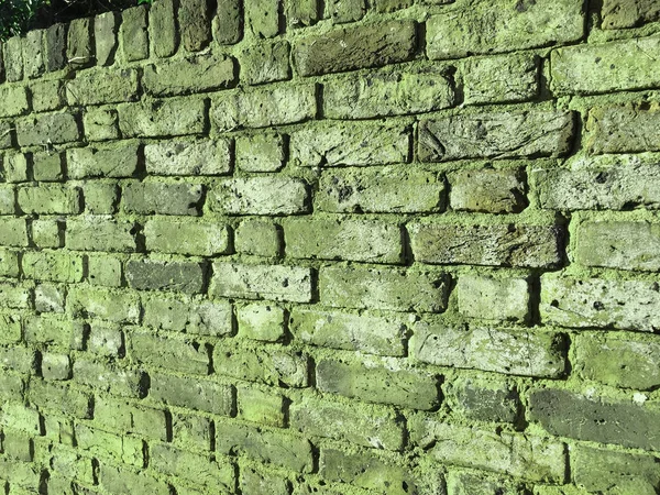 レンガの壁の背景の質感 — ストック写真