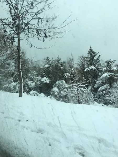 All Aperto Neve Isolare Sfondo — Foto Stock