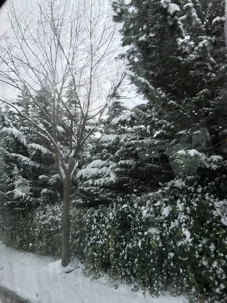 屋外の雪の背景を分離します — ストック写真