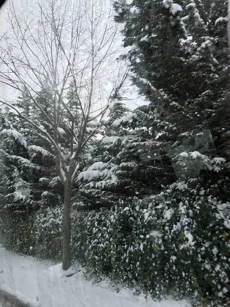 Aire Libre Nieve Aislar Fondo —  Fotos de Stock