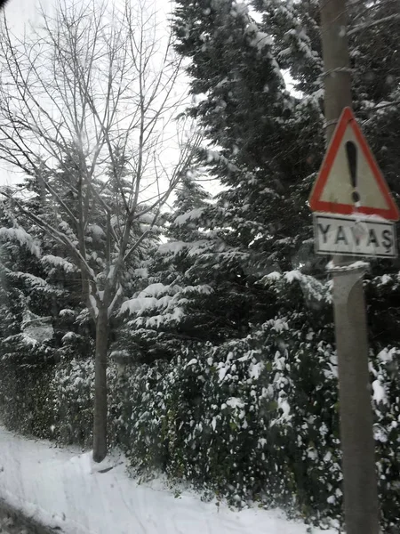 屋外の雪の背景を分離します — ストック写真