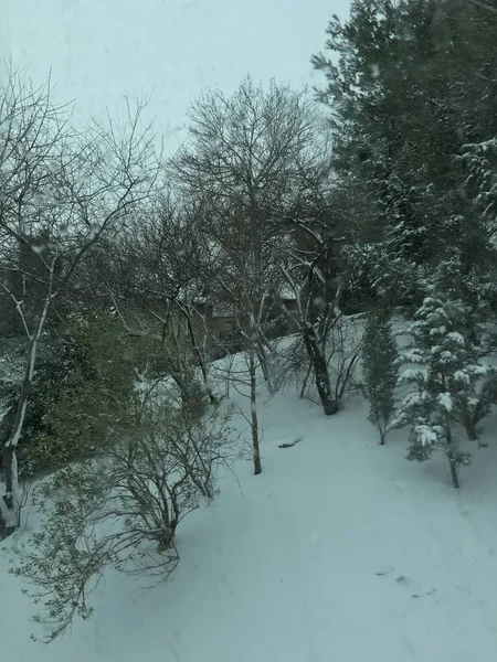 屋外の雪の背景を分離します — ストック写真