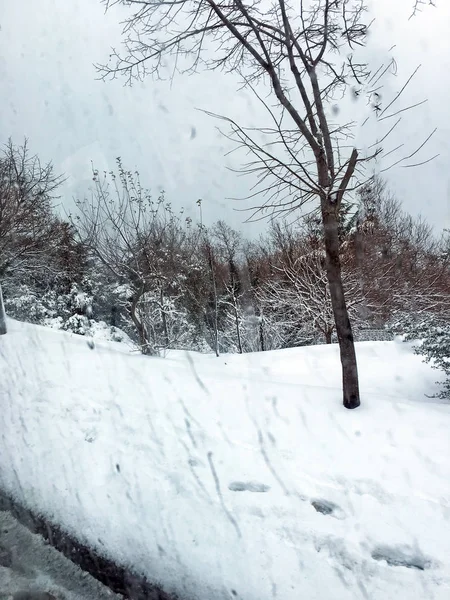 Aire Libre Nieve Aislar Fondo —  Fotos de Stock