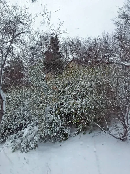 Aire Libre Nieve Aislar Fondo —  Fotos de Stock