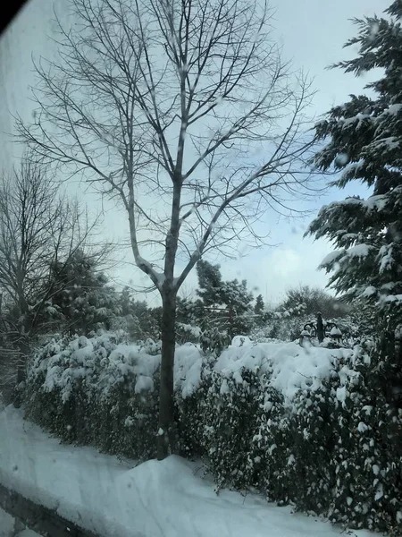 屋外の雪の背景を分離します — ストック写真