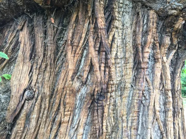 Teksturowanej Powierzchni Drewnianych Jako Tło — Zdjęcie stockowe