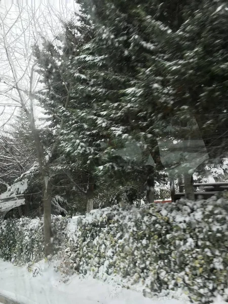 Aire Libre Nieve Aislar Fondo —  Fotos de Stock