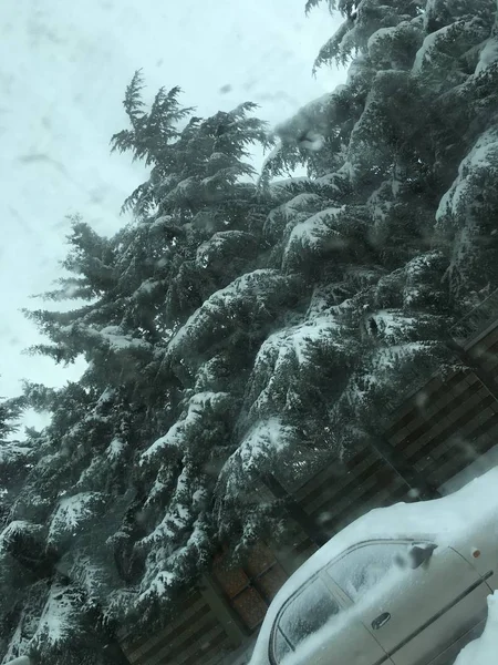 户外除雪背景 — 图库照片