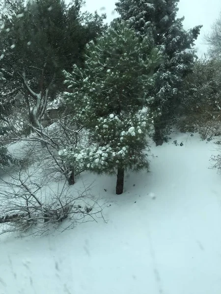 户外除雪背景 — 图库照片